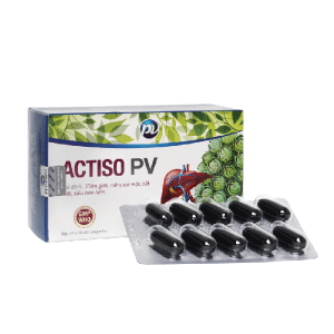 ACTISO PV