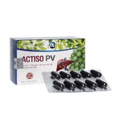 ACTISO PV